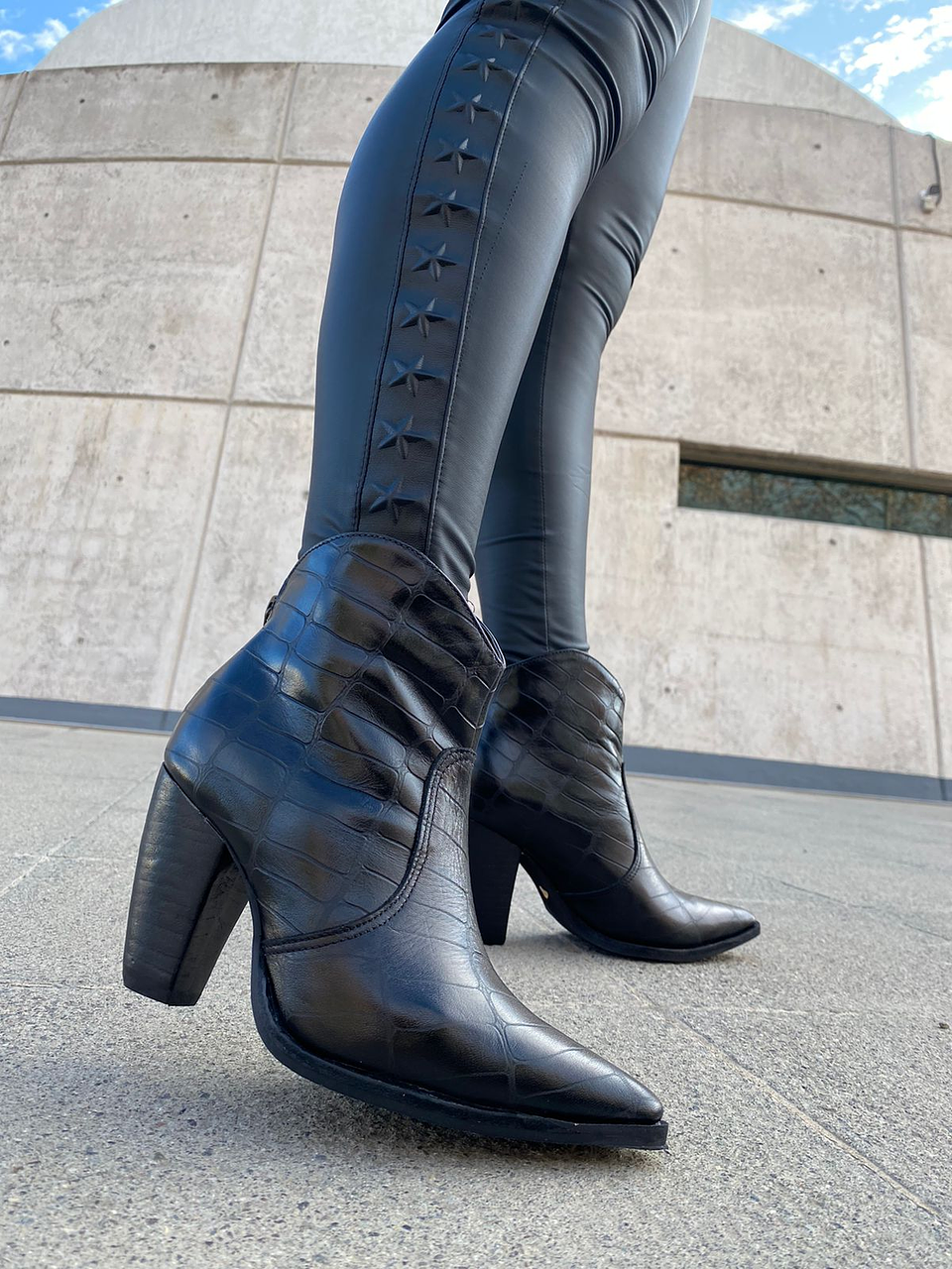 Italia Lagarto Negro 1