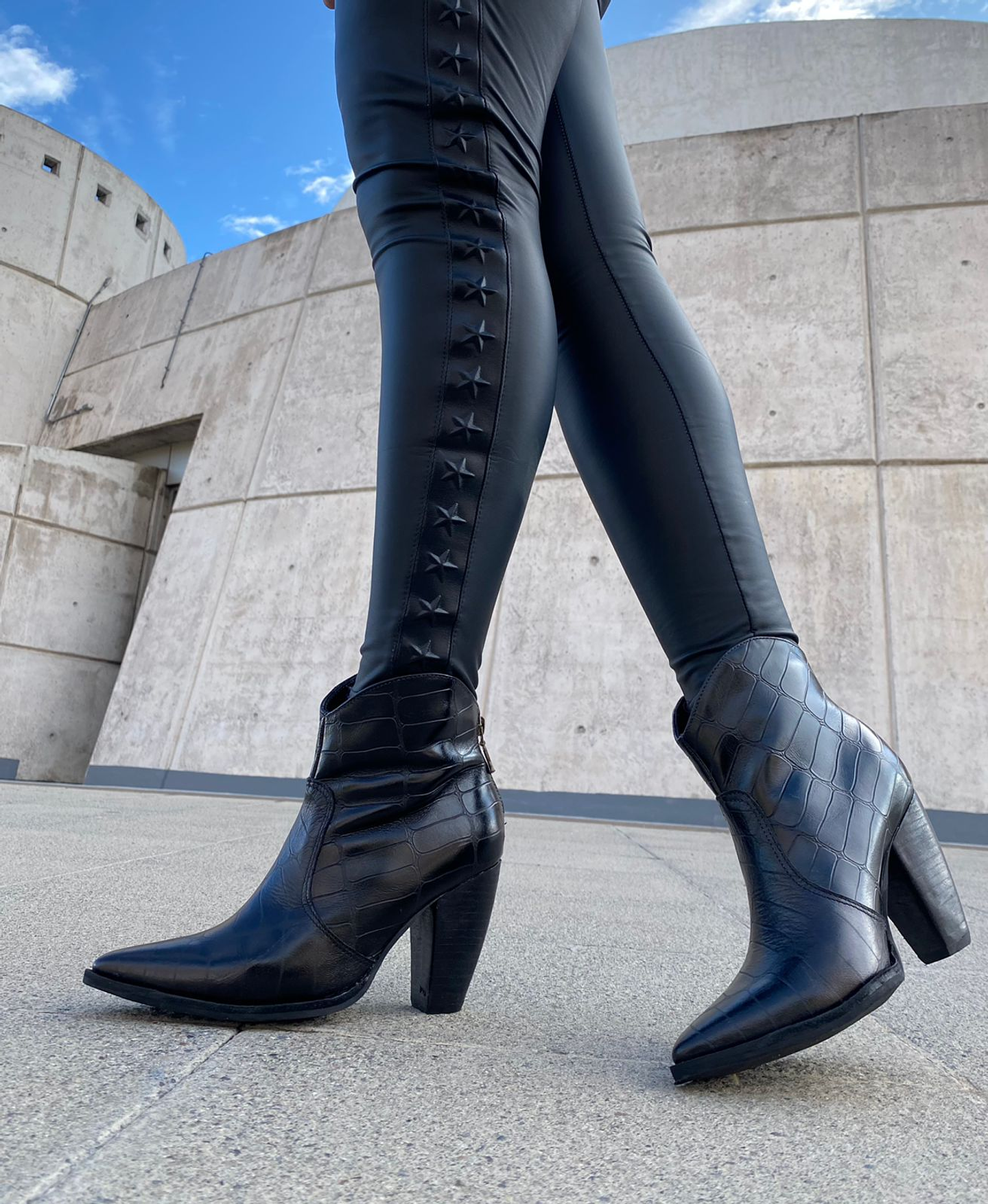 Italia Lagarto Negro 4