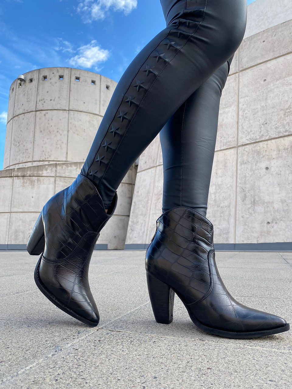 Italia Lagarto Negro 6