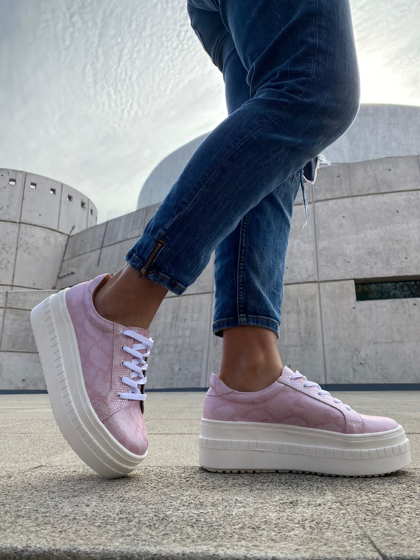 Miami Pitón Rosado 1