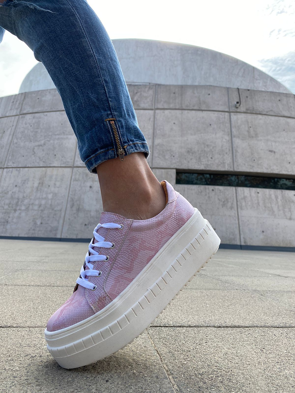 Miami Pitón Rosado 2