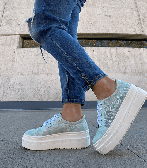 Miami Piton Verde Agua