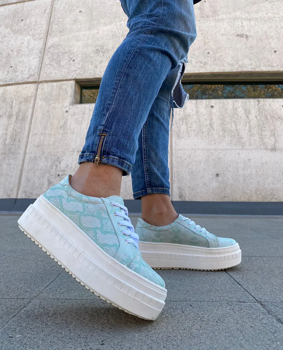 Miami Piton Verde Agua 3