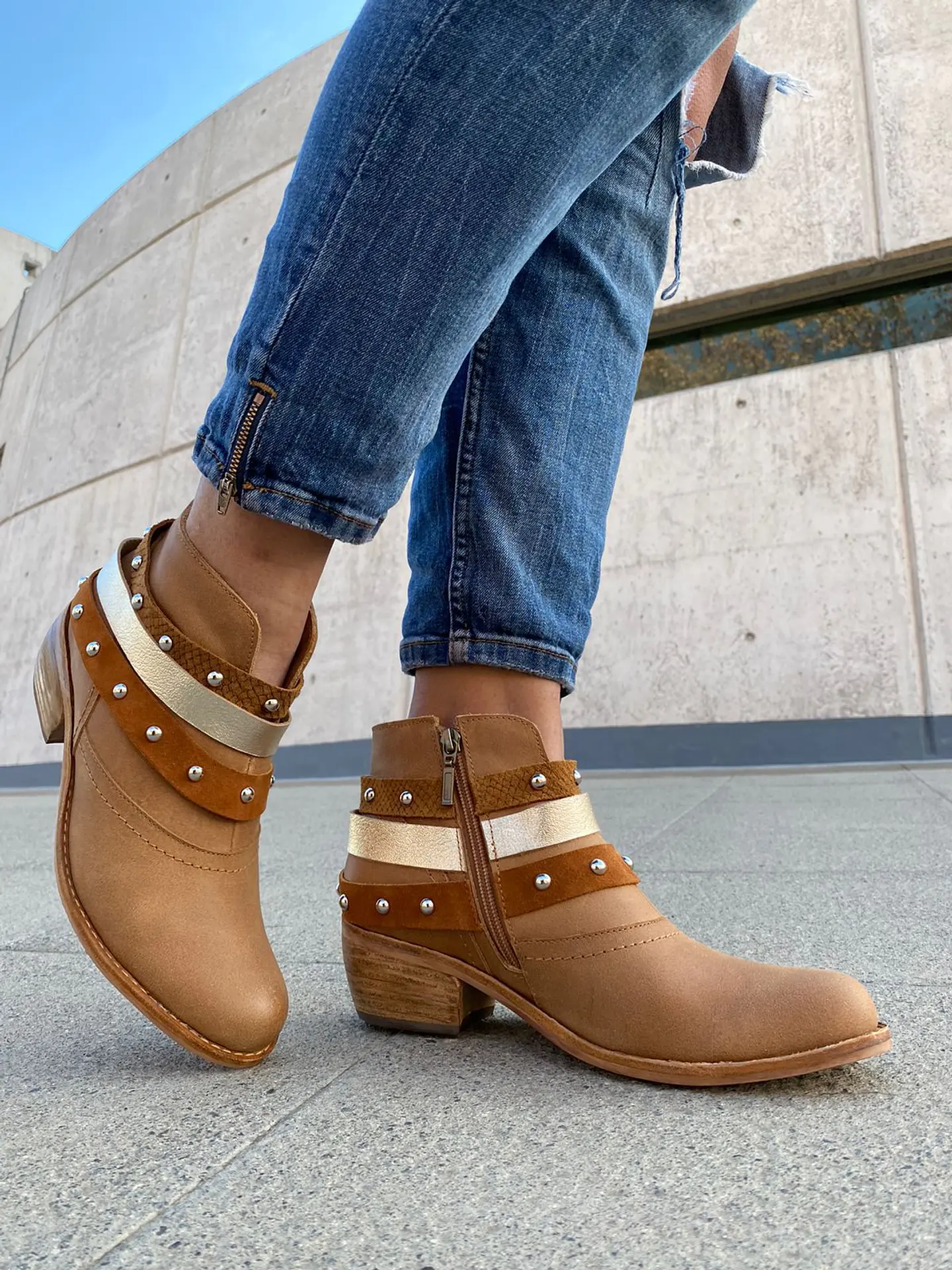 Dani Camel 2