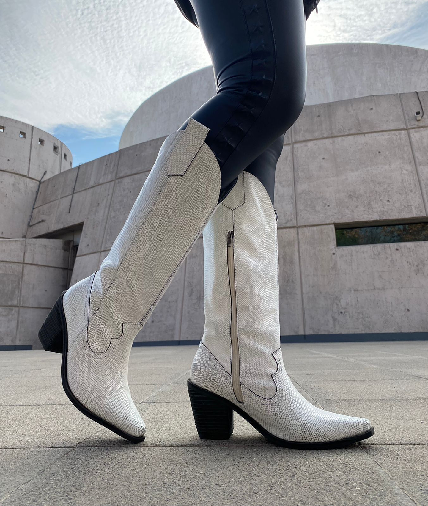 Arizona Croco Blanca Planta Negra 1