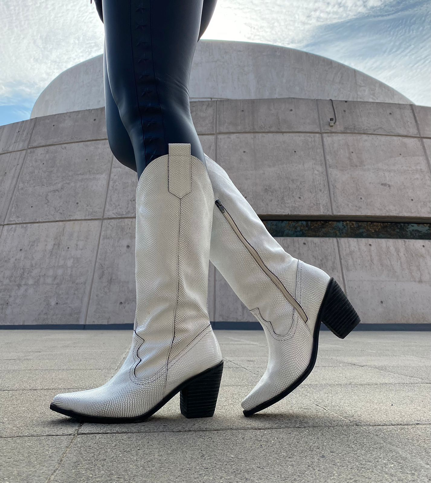 Arizona Croco Blanca Planta Negra 4