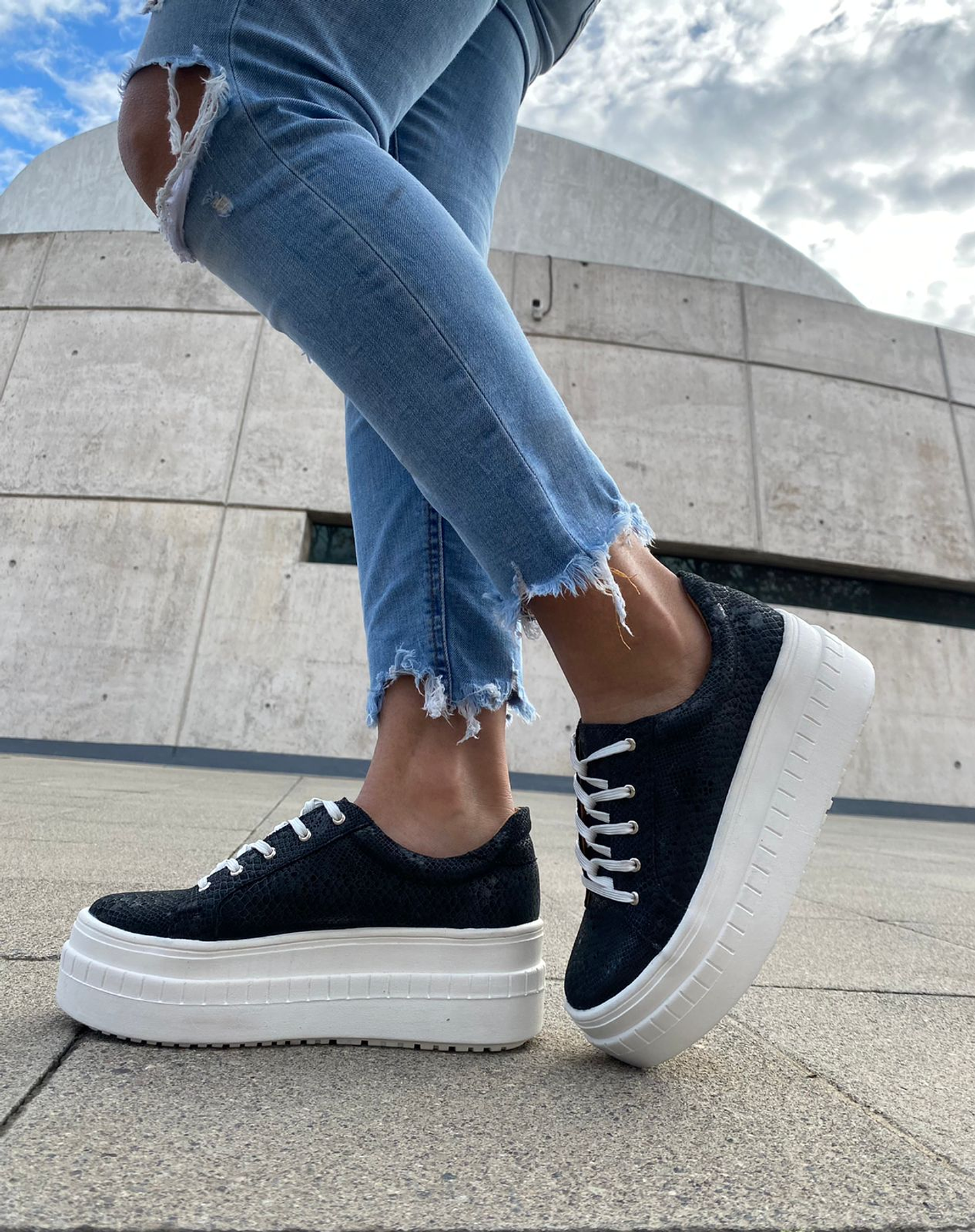 Miami Folia Negro  2