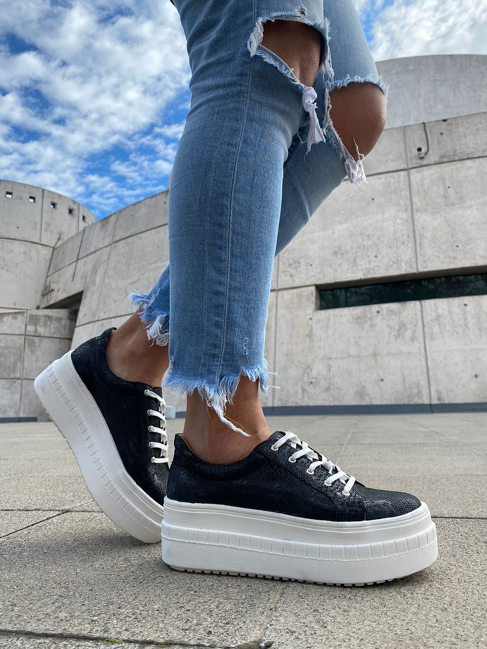 Miami Folia Negro  1