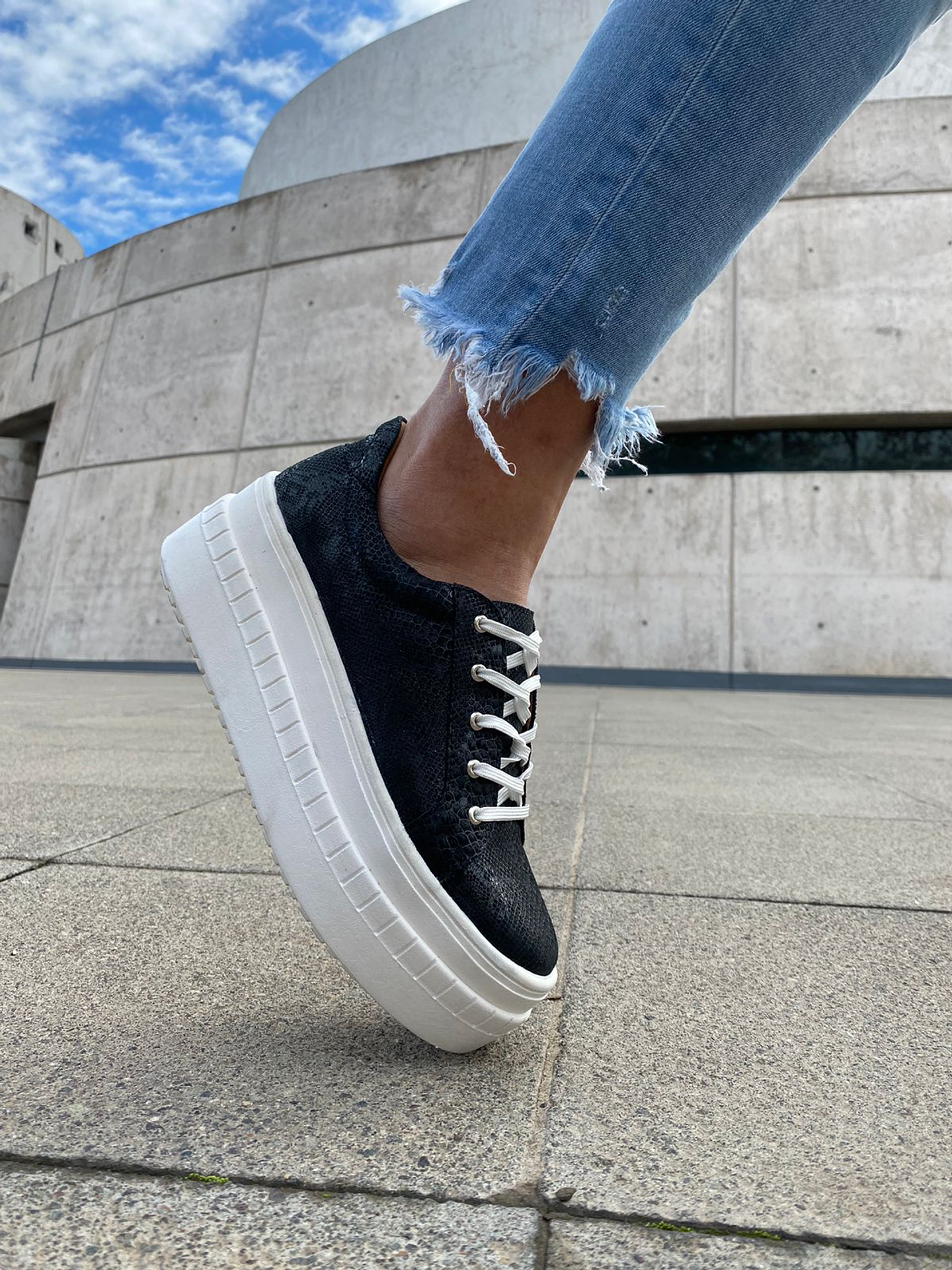 Miami Folia Negro  3