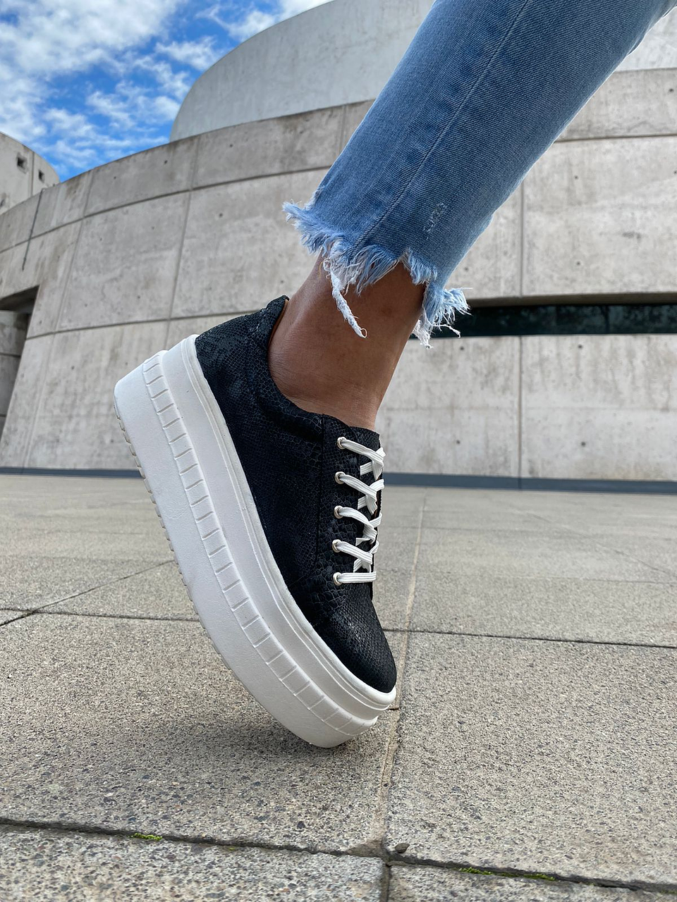 Miami Folia Negro  3