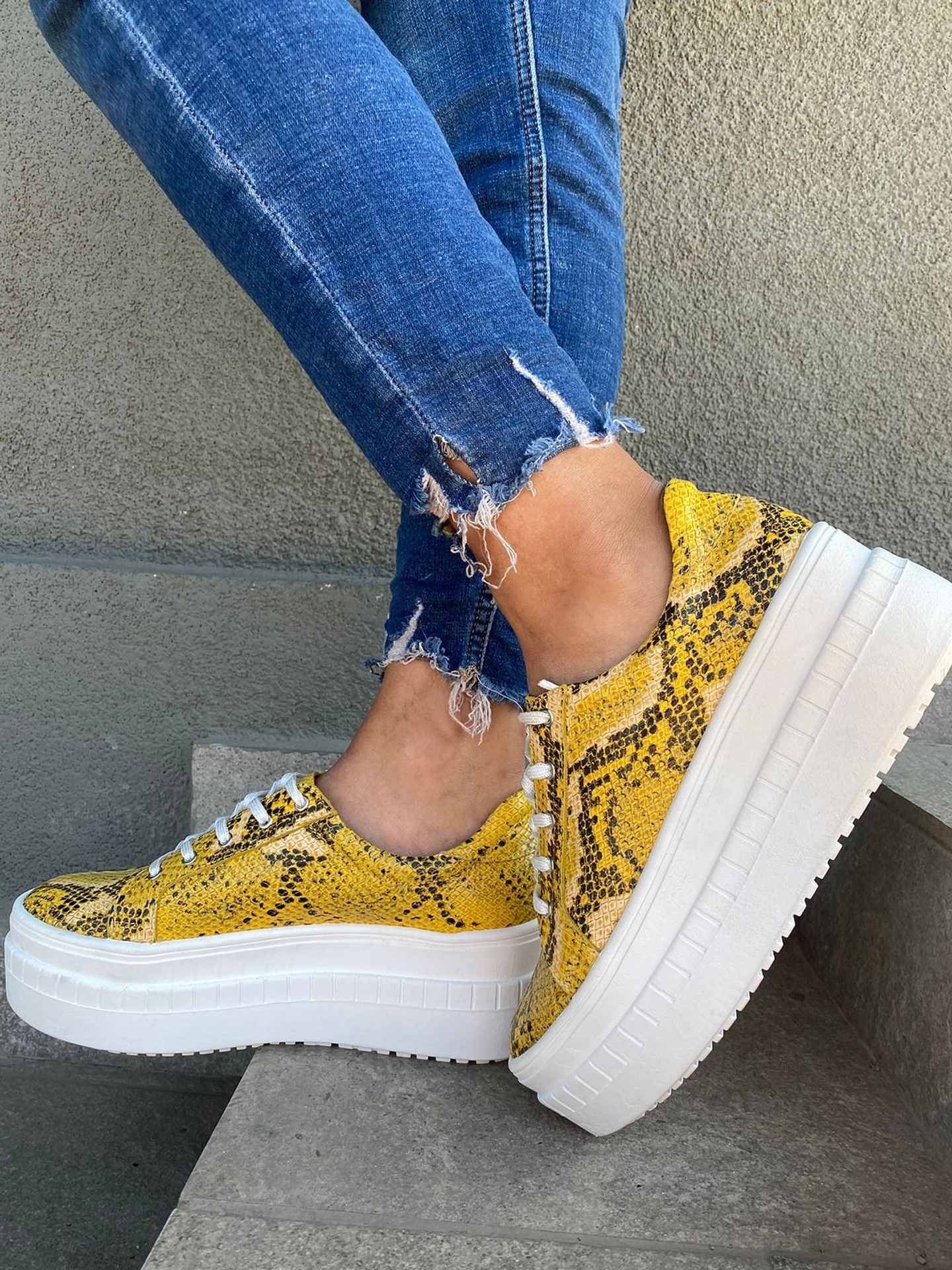 Miami Piton Amarilla 4