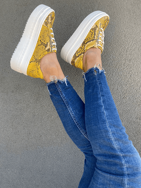 Miami Piton Amarilla