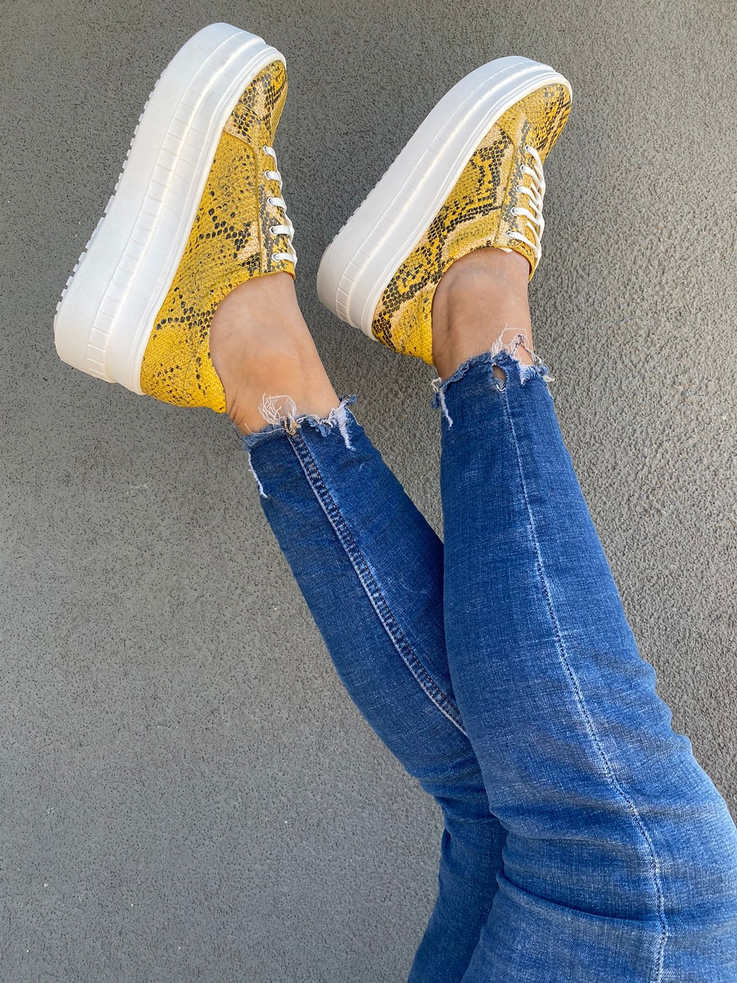 Miami Piton Amarilla 1