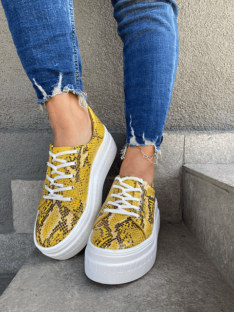 Miami Piton Amarilla