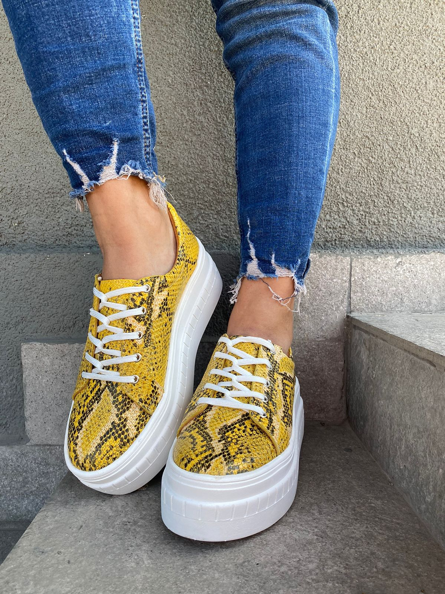 Miami Piton Amarilla 2