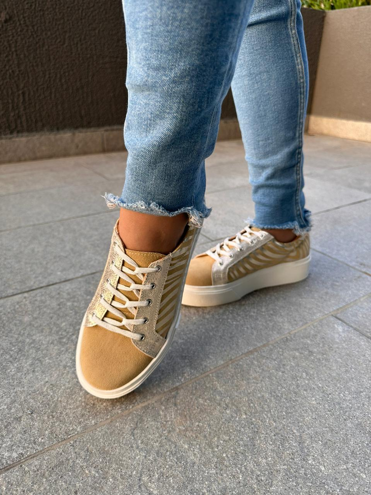 Valeria Cebra Dorado  3