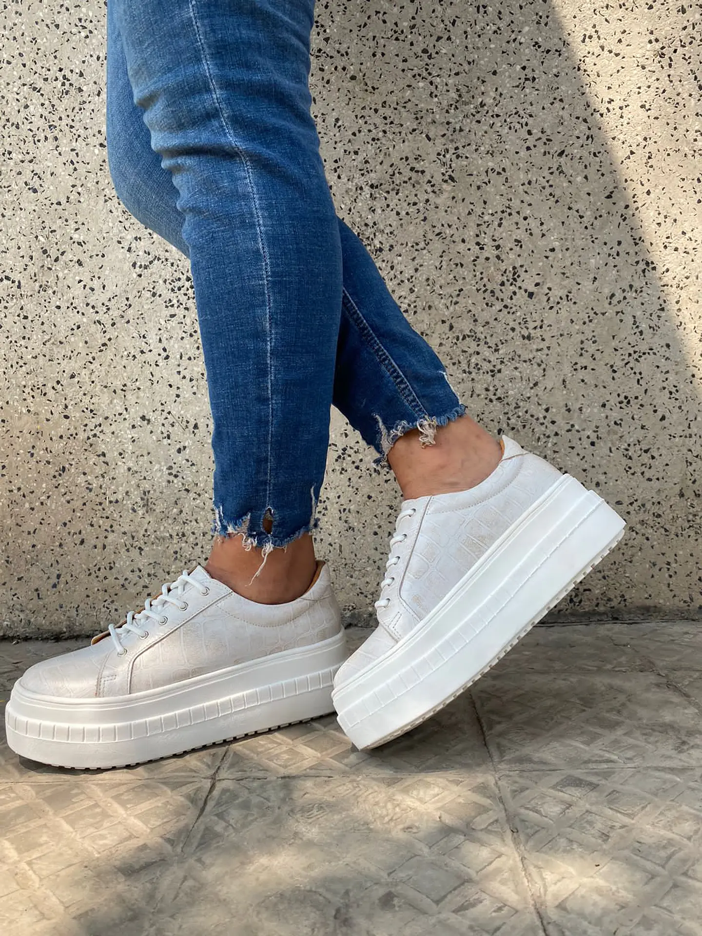 Miami Lagarto Blanco 3