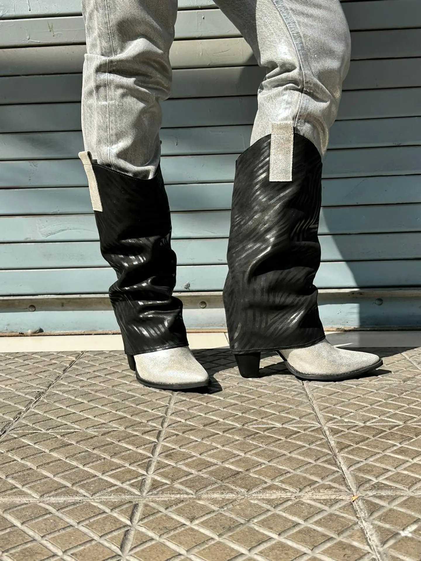 Cataleya Cebra negro 1