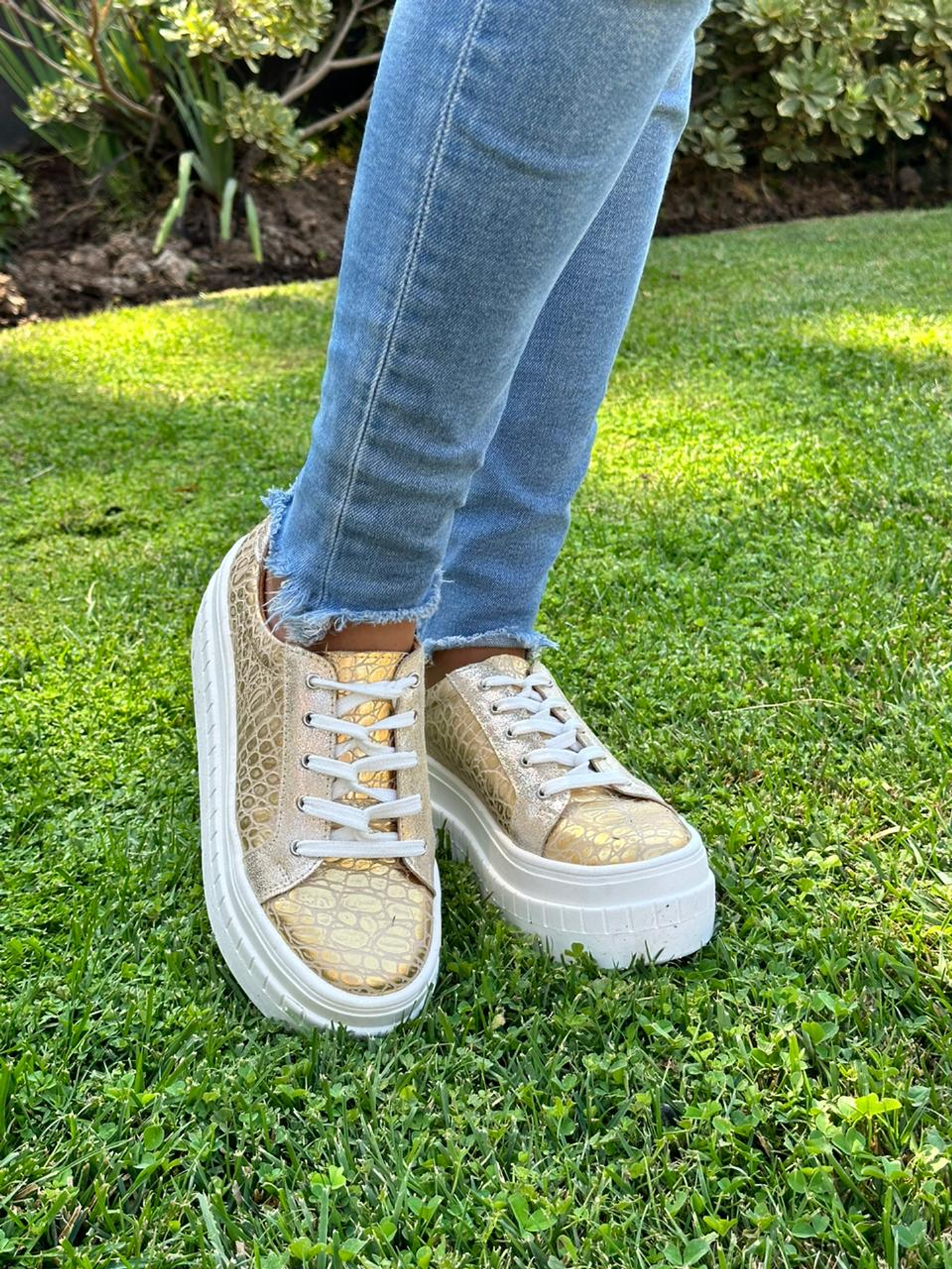 Miami Croco Dorado-Talon Gliter Dorado 2