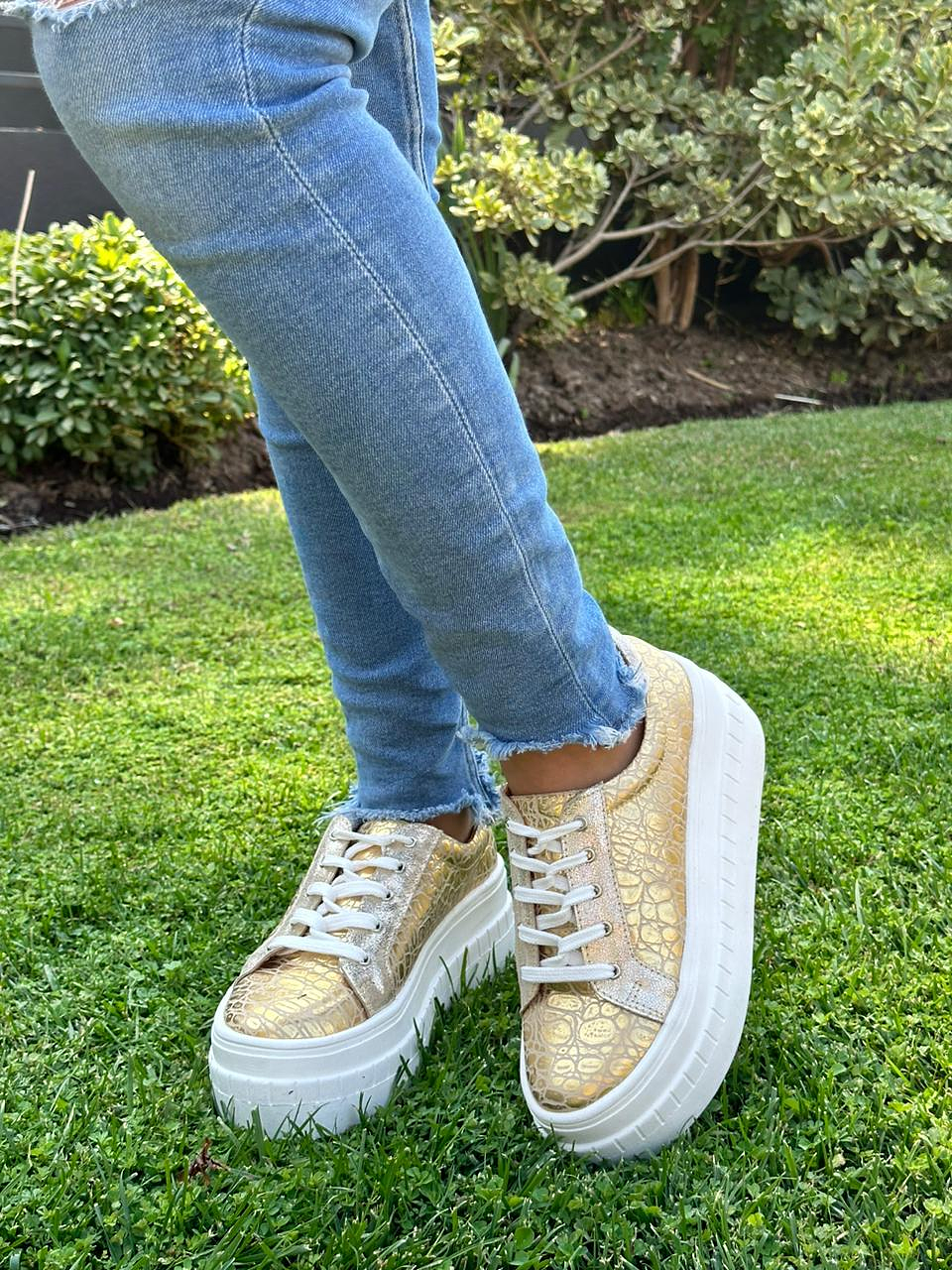 Miami Croco Dorado-Talon Gliter Dorado 3