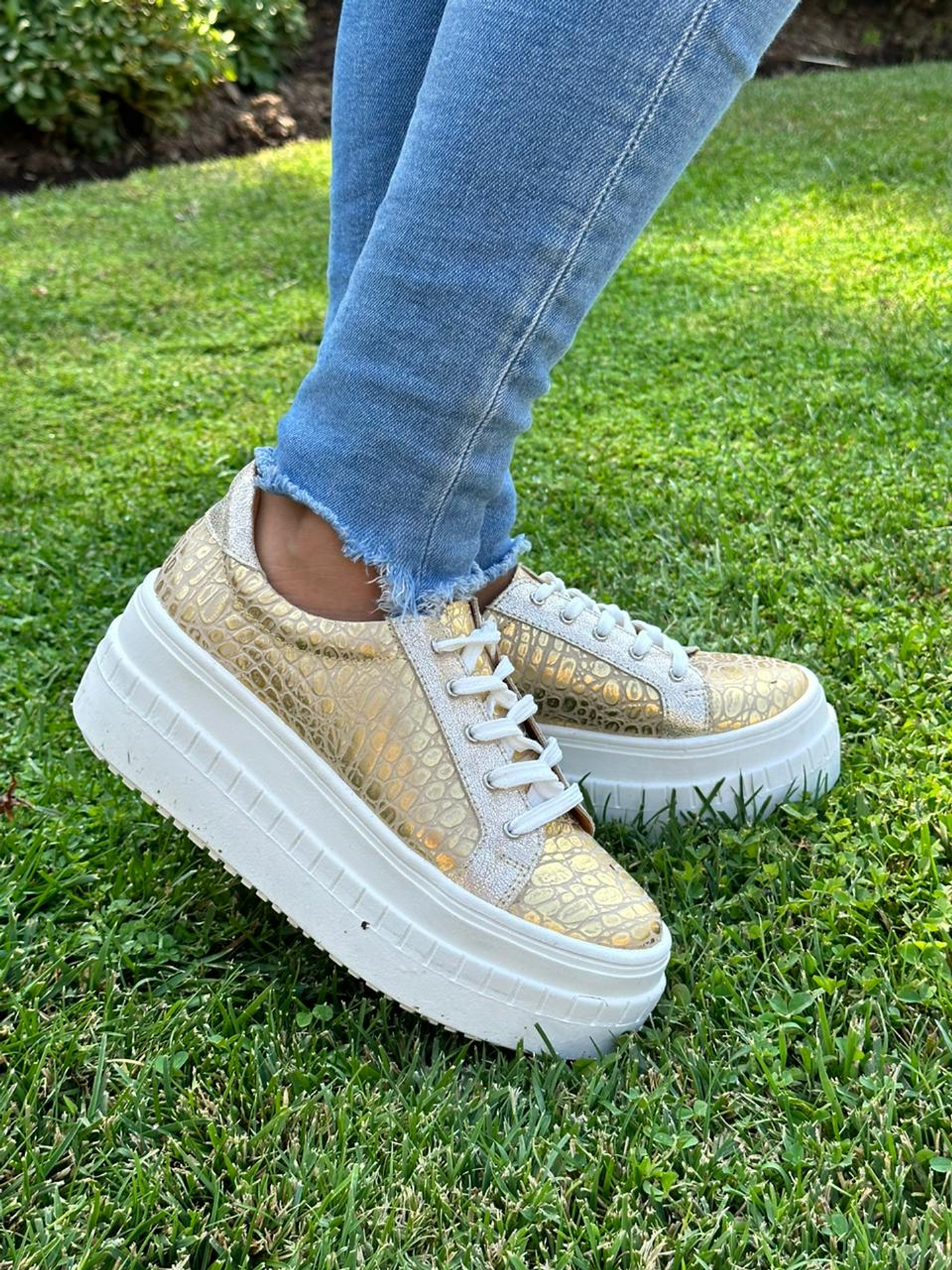 Miami Croco Dorado-Talon Gliter Dorado 5