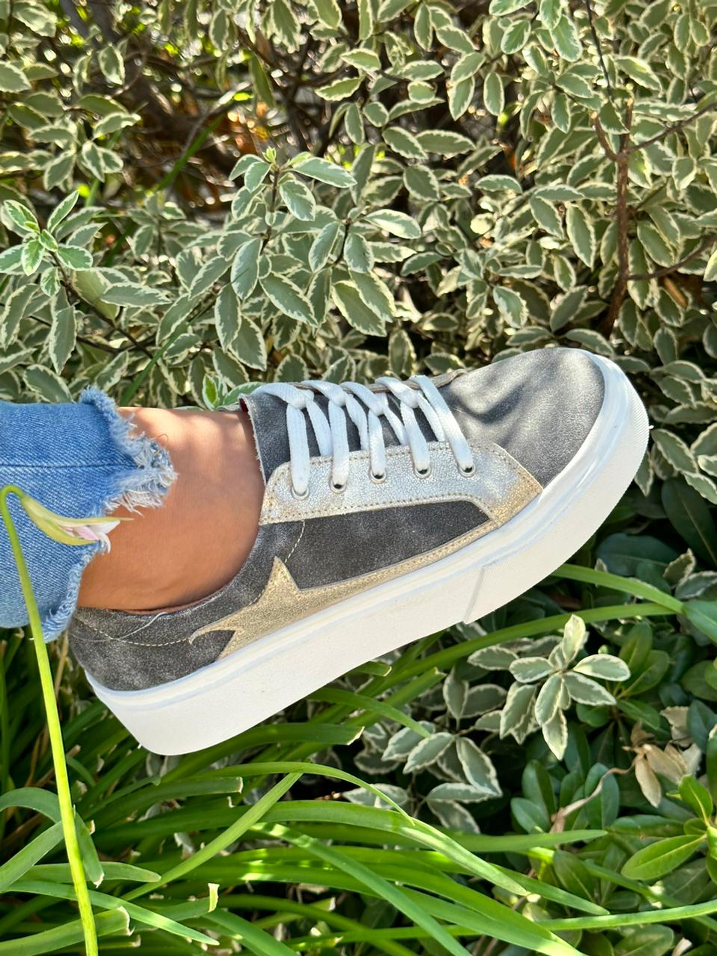 Valeria Gris-Estrella Dorado 2