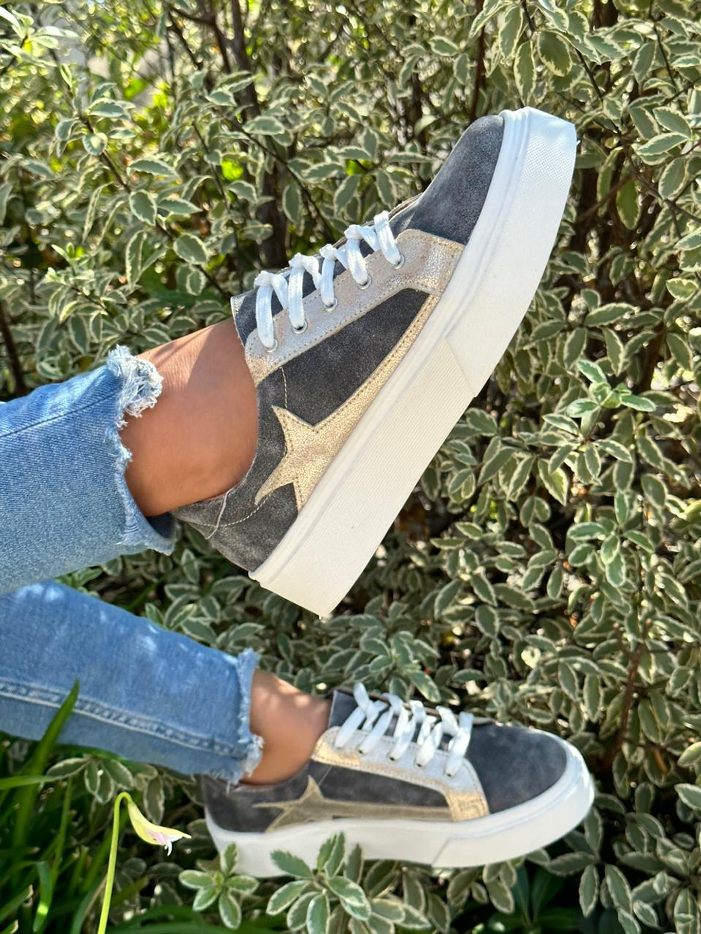 Valeria Gris-Estrella Dorado 5