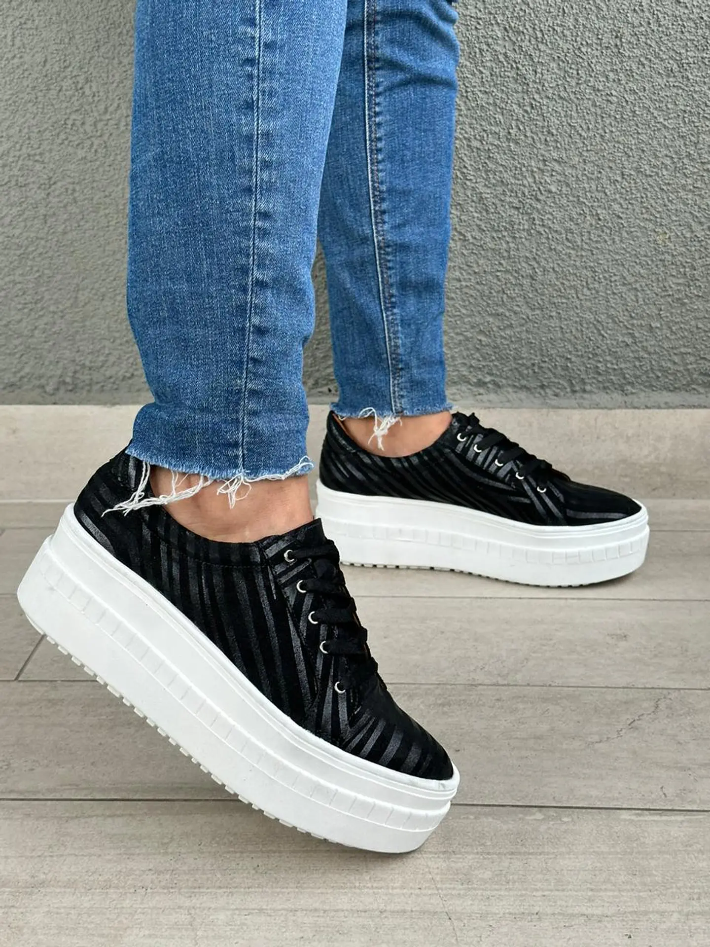 Miami Cebra Negro  2