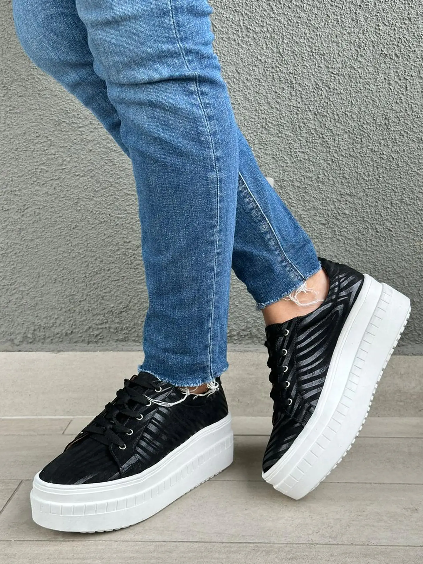 Miami Cebra Negro  1