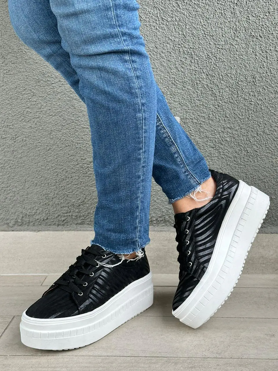 Miami Cebra Negro  1