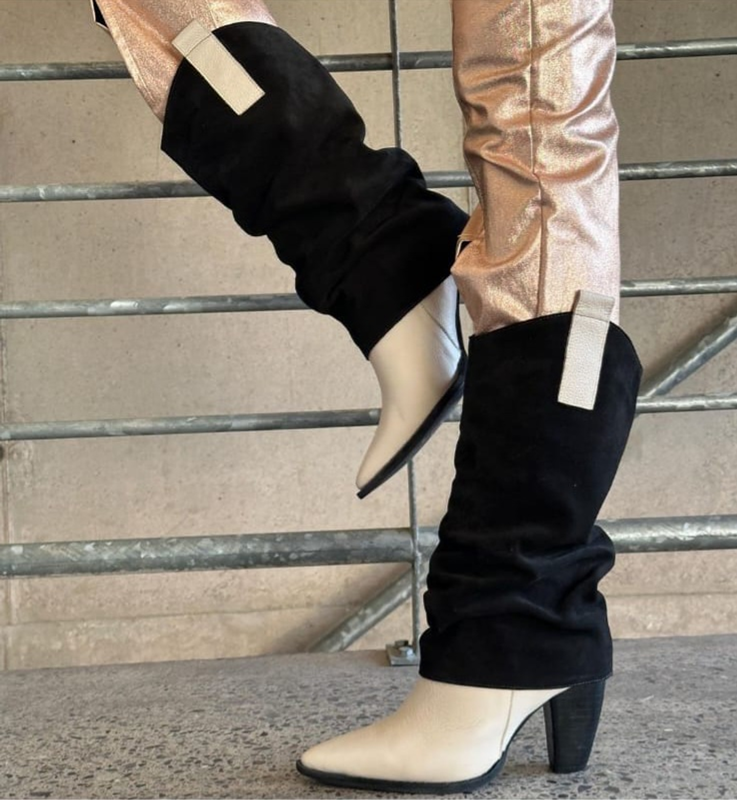 Cataleya Reno Negro 2