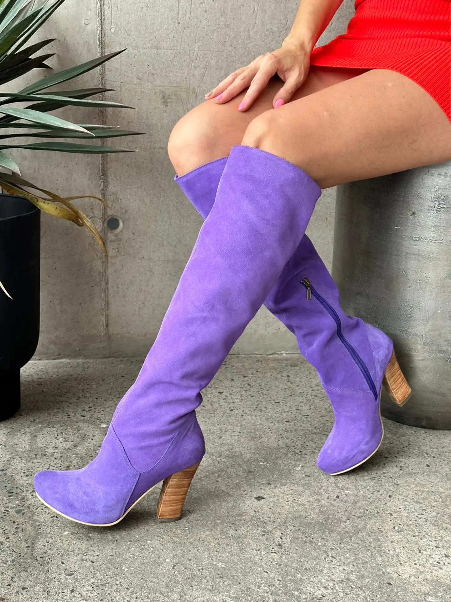 Diana Reno Lila 2