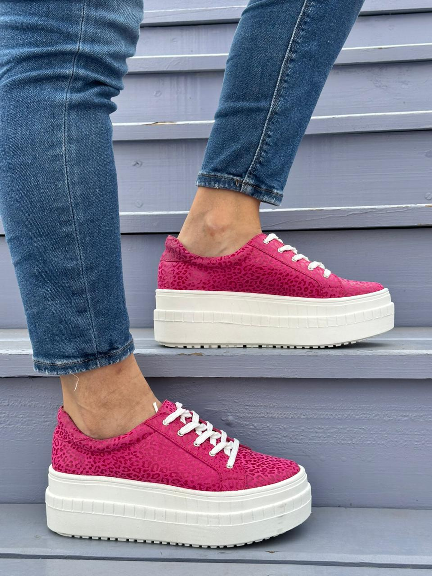 Miami Chita Fucsia 6