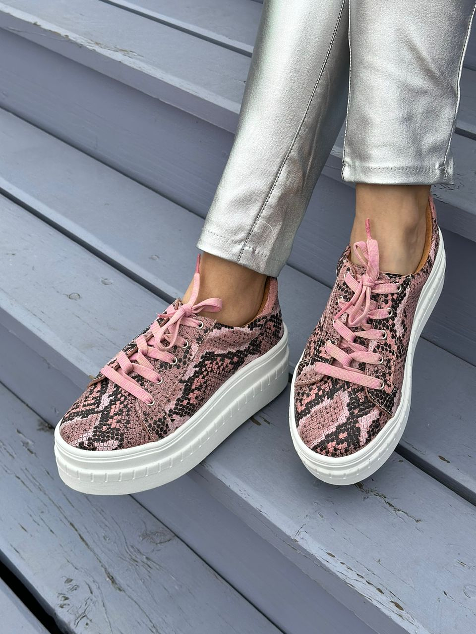 Miami Piton Rosado 2