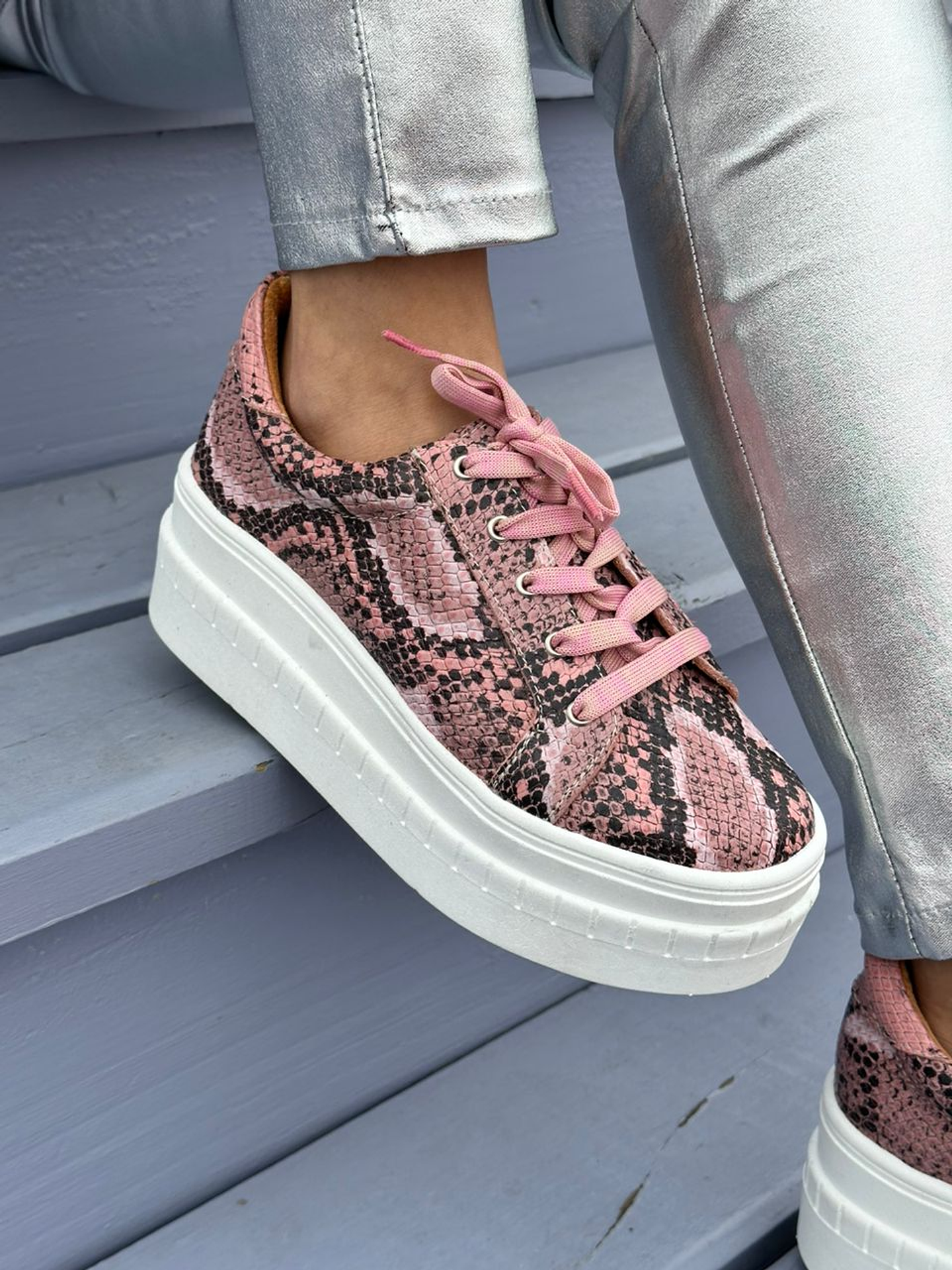 Miami Piton Rosado 4