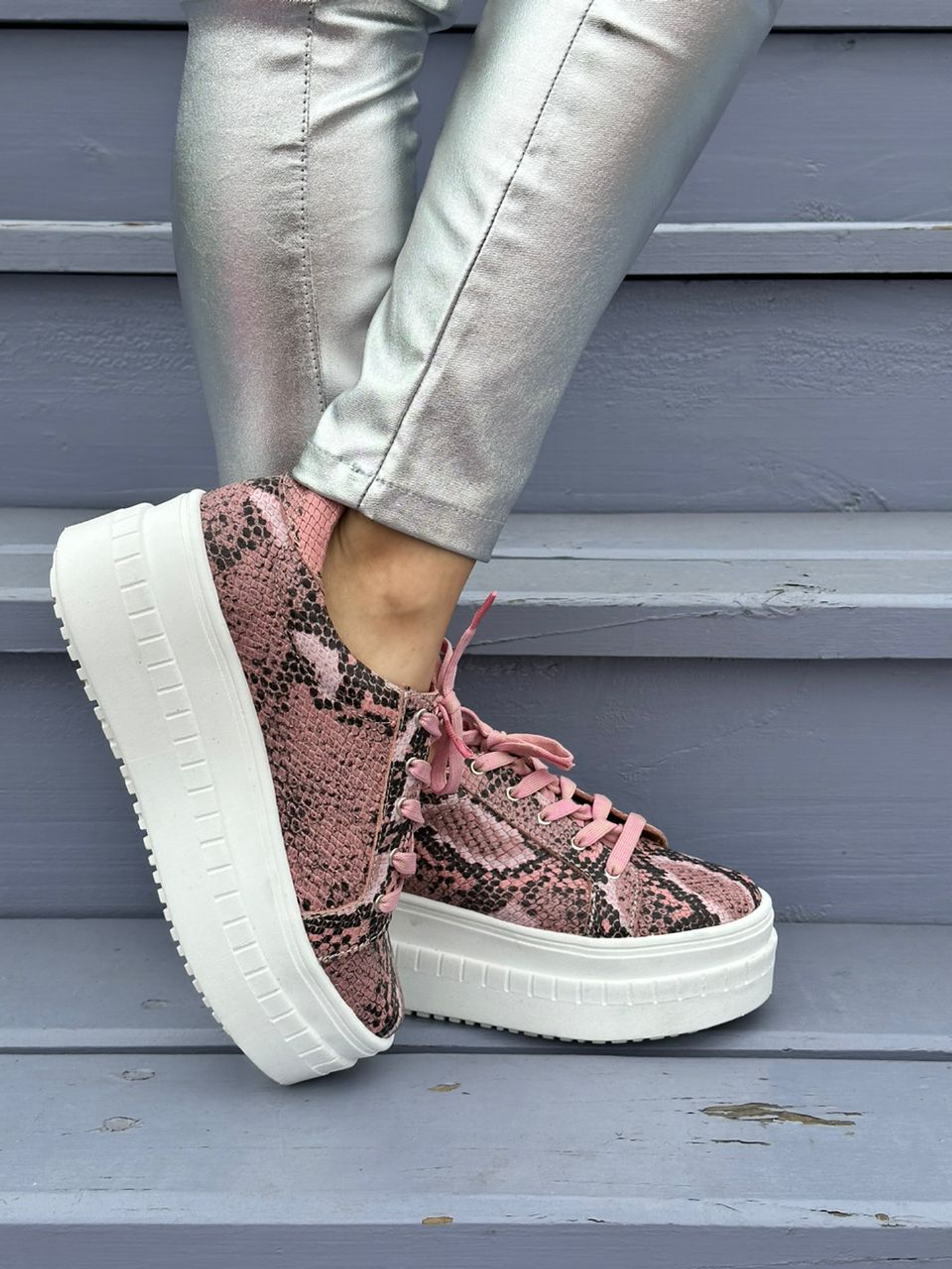 Miami Piton Rosado 5