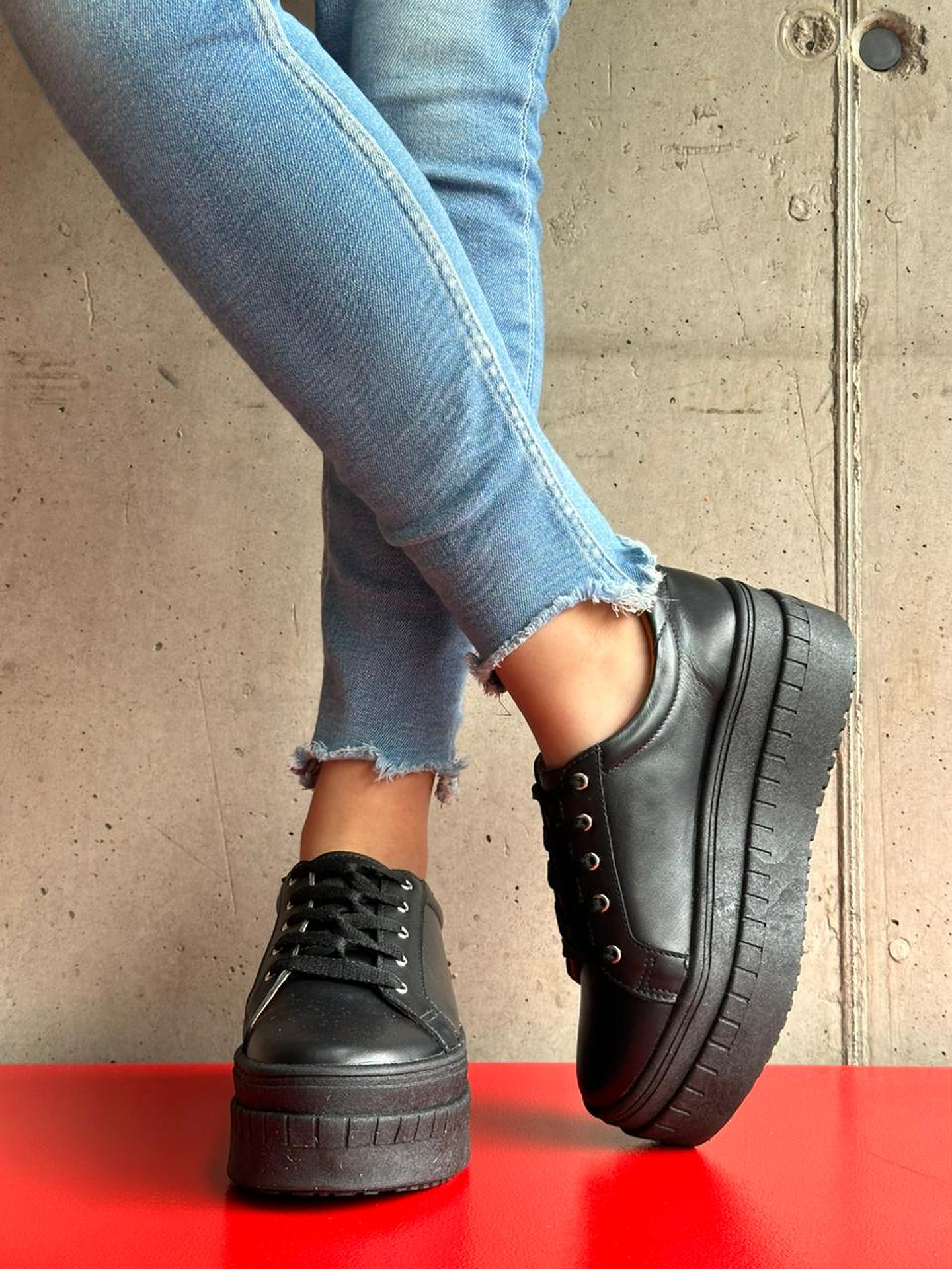 Miami Planta Negra 1