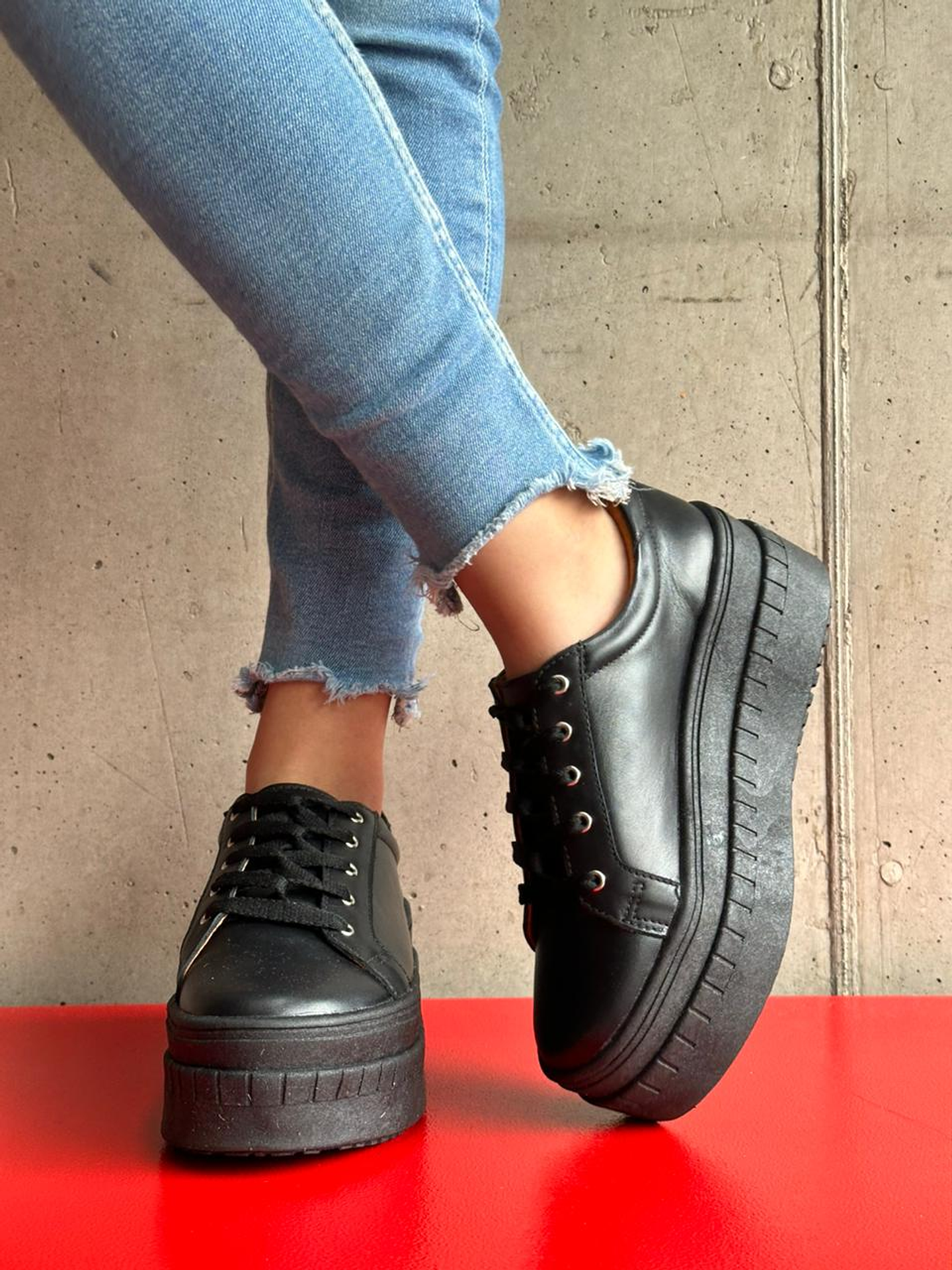 Miami Planta Negra 2