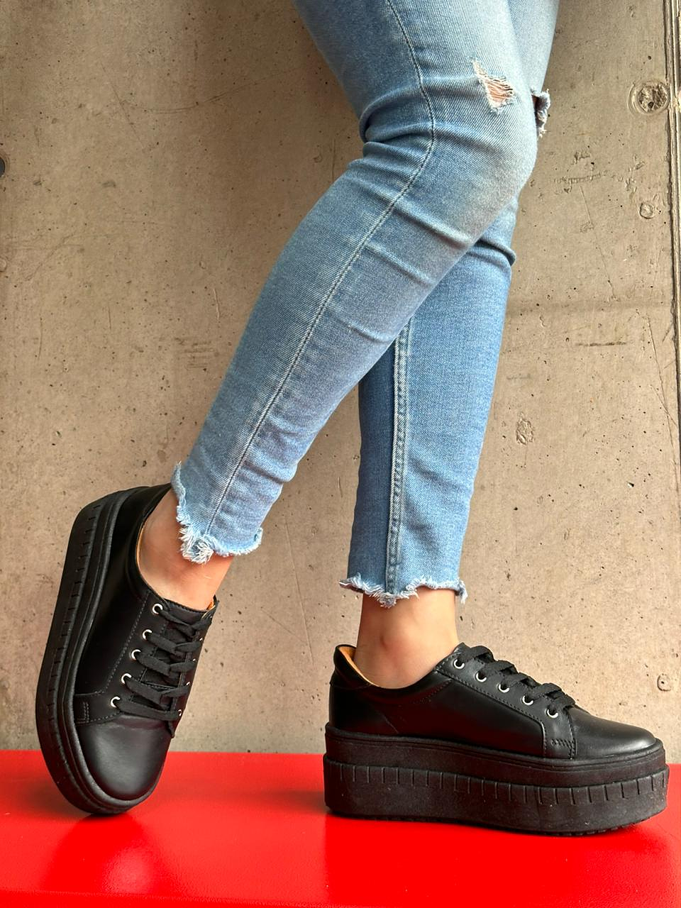 Miami Planta Negra 4