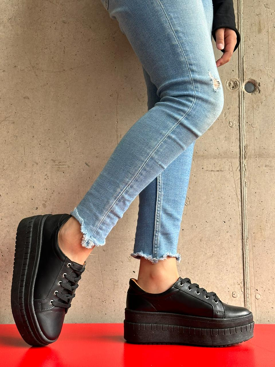 Miami Planta Negra 5