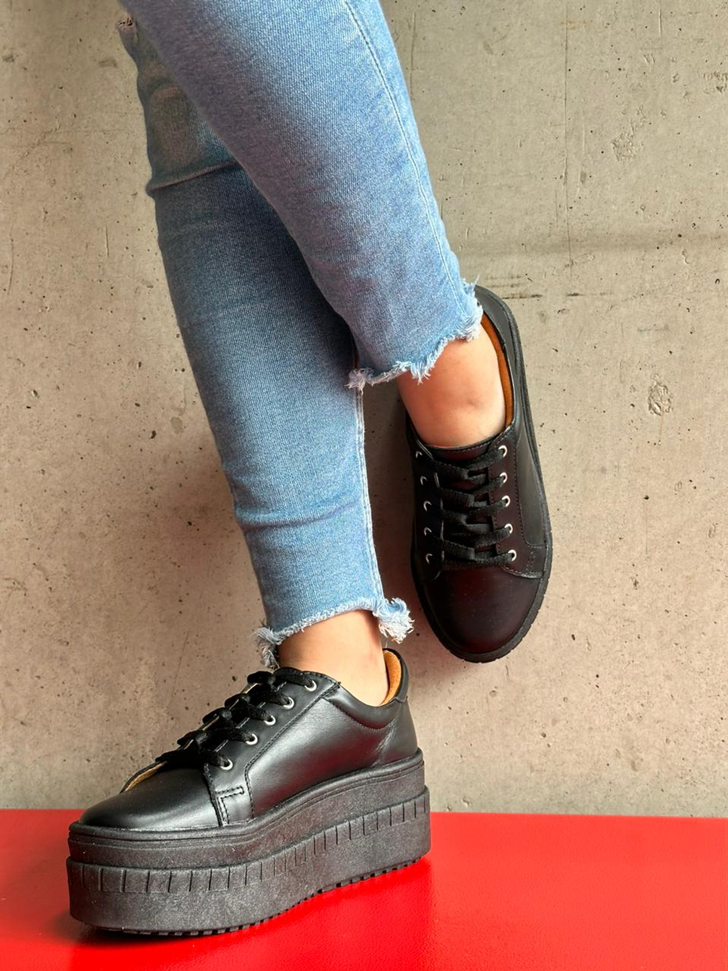 Miami Planta Negra 6