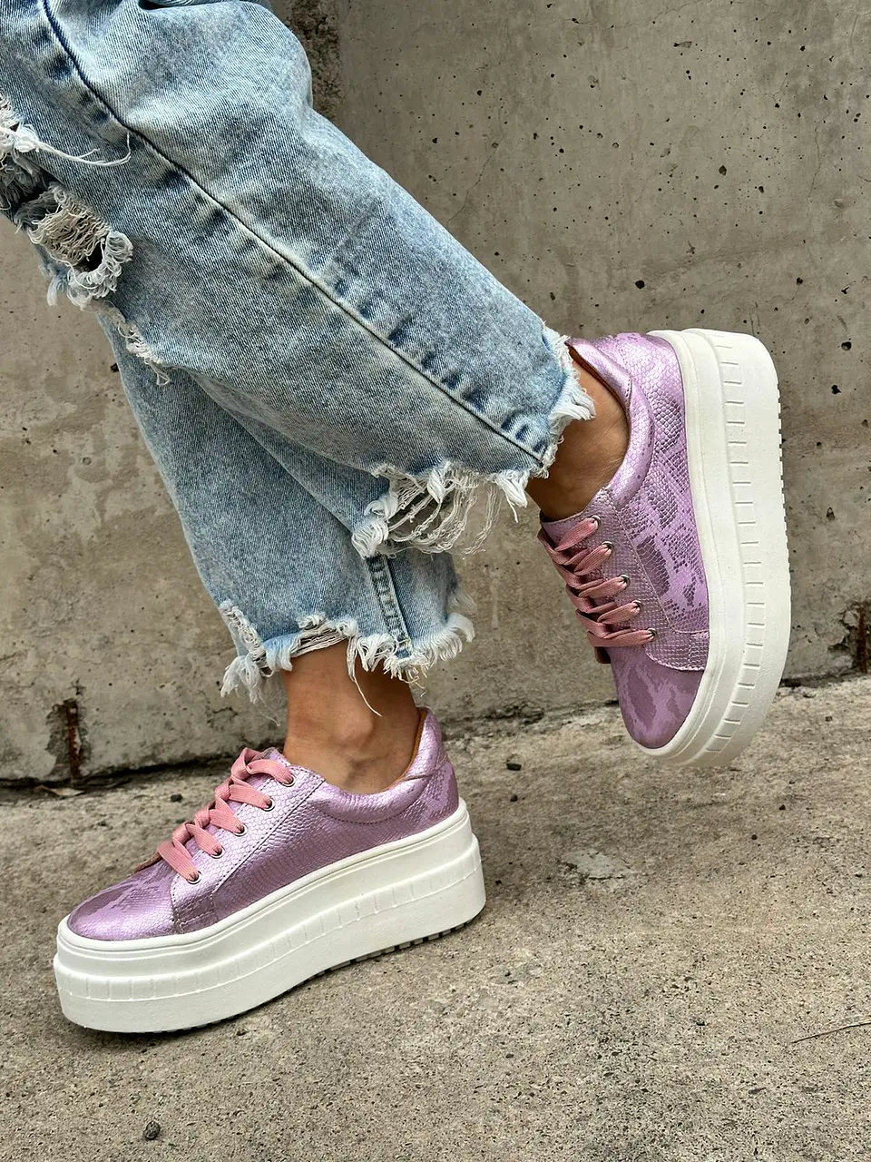 Miami Pitón rosado 5