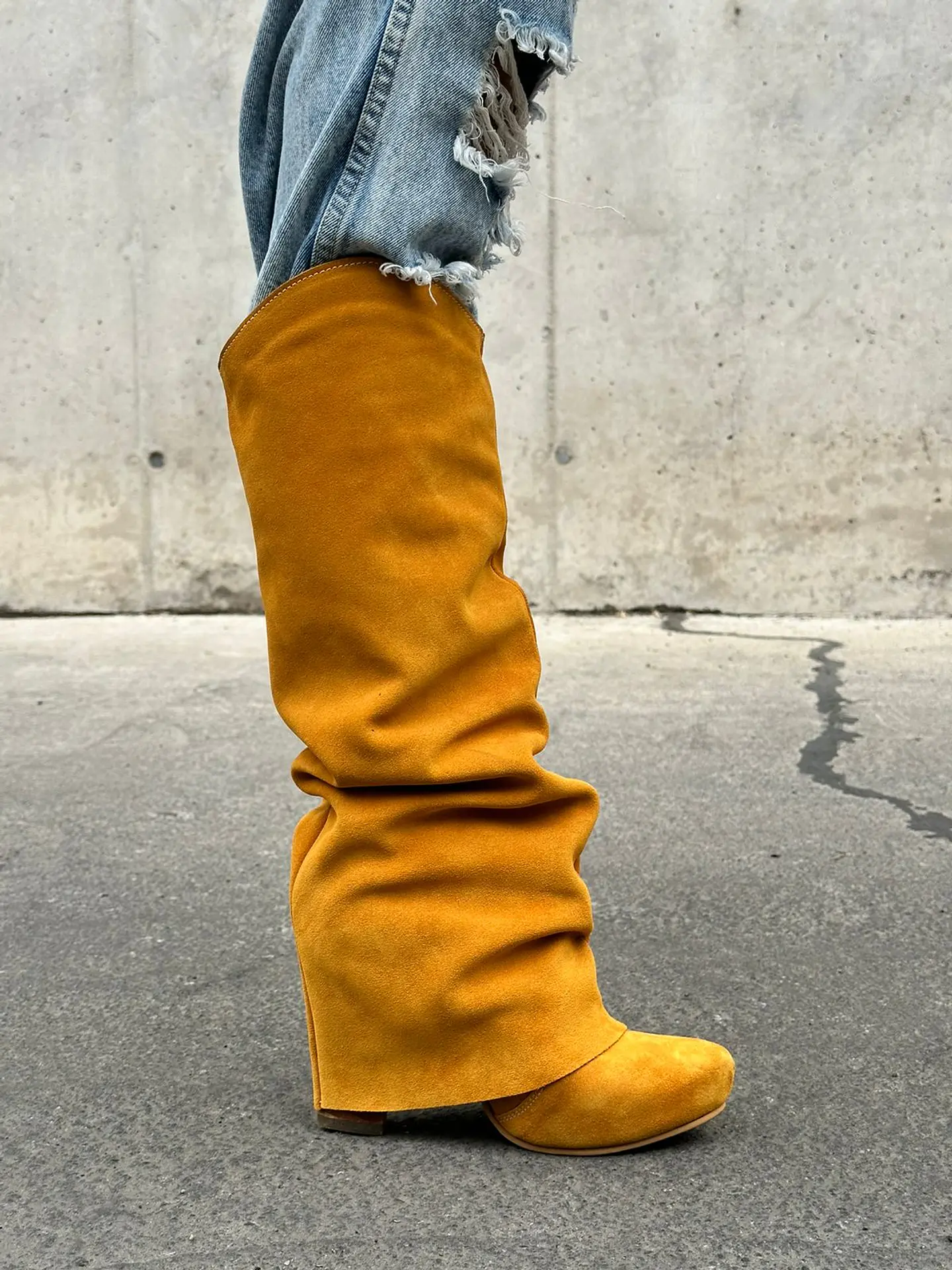 Pascuala Reno Mostaza 4