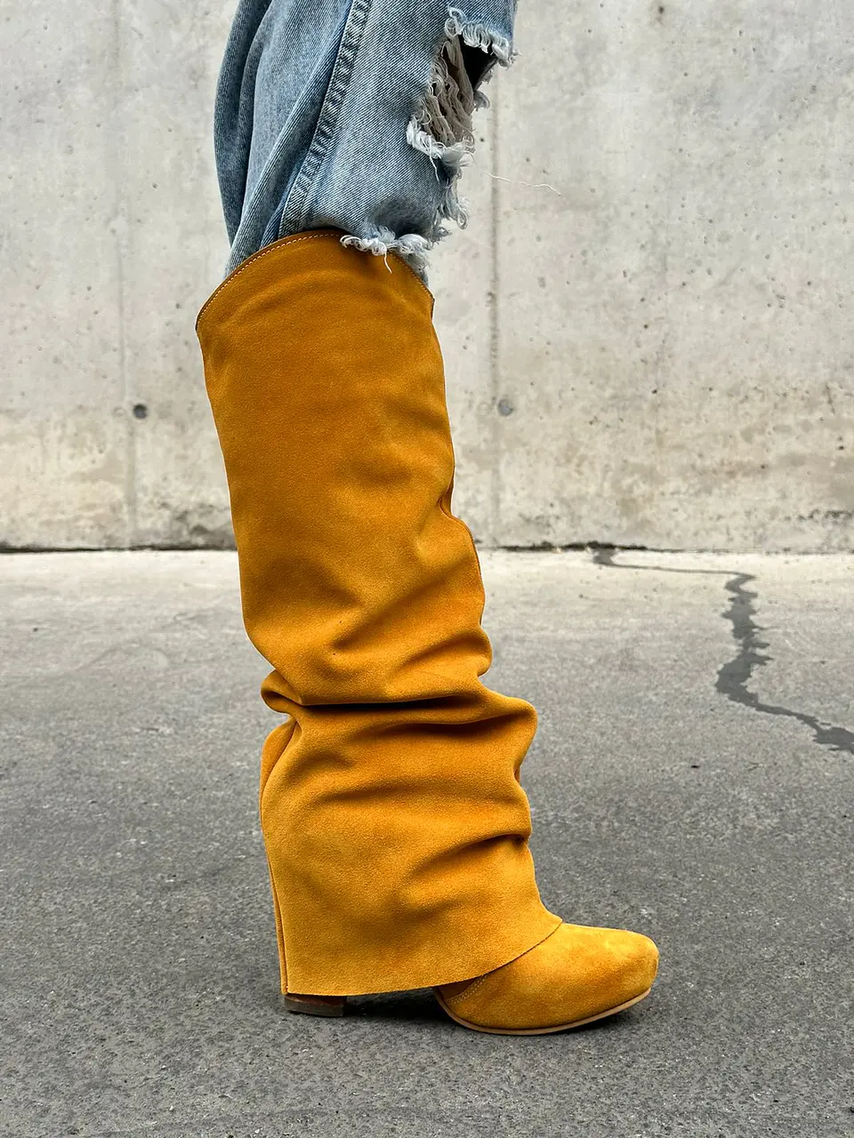 Pascuala Reno Mostaza 4