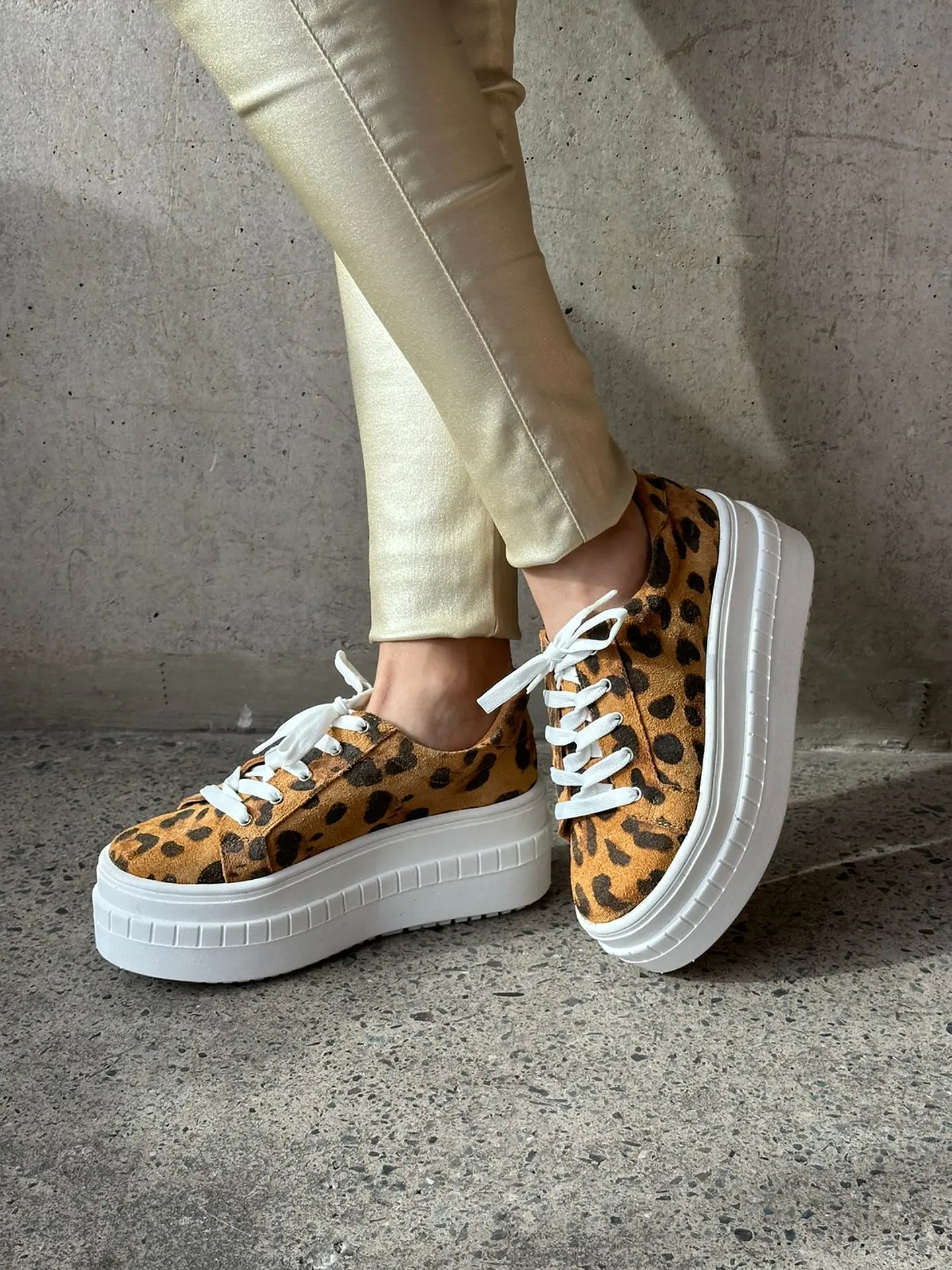 Miami animal print 1