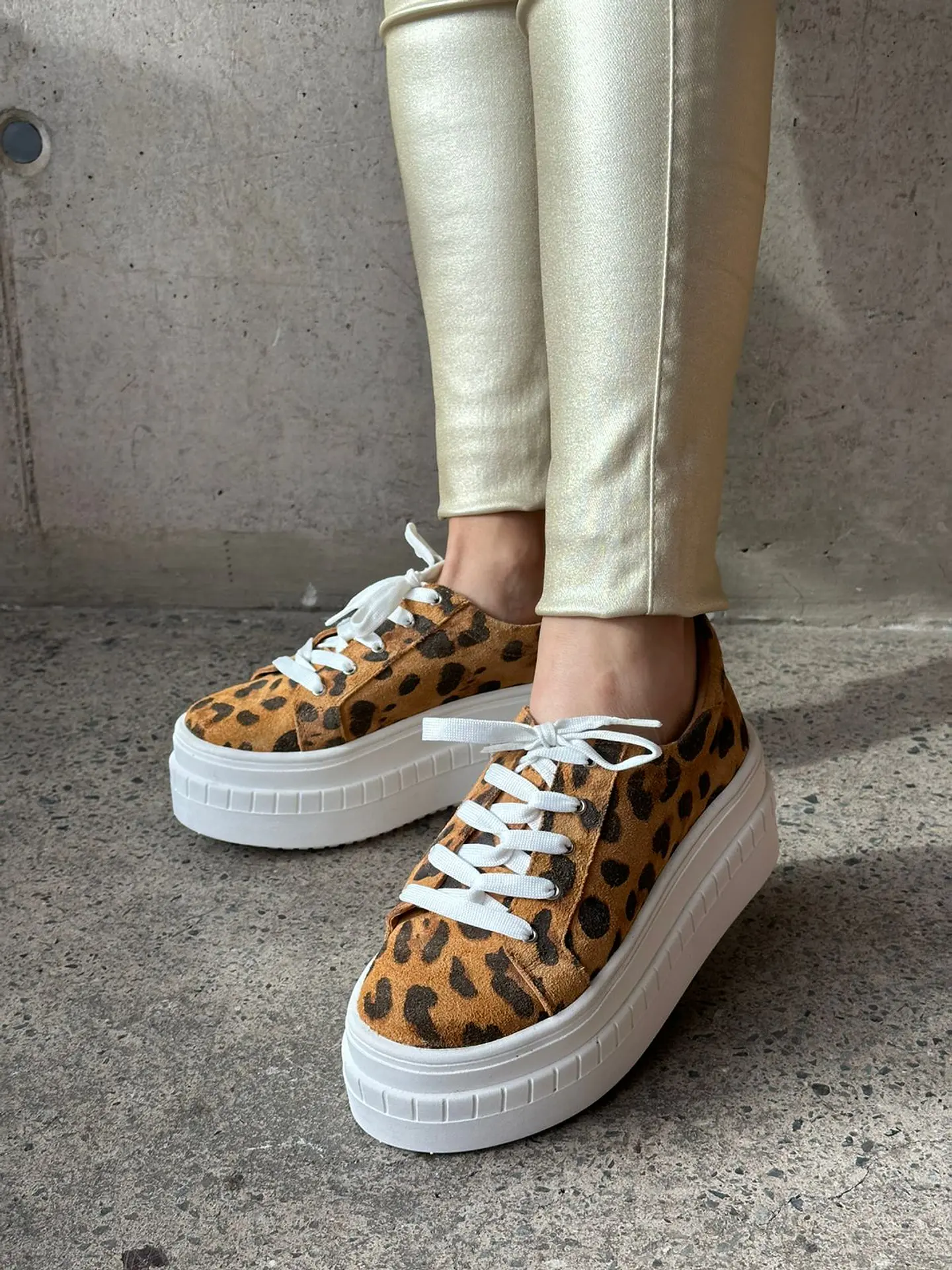 Miami animal print 3