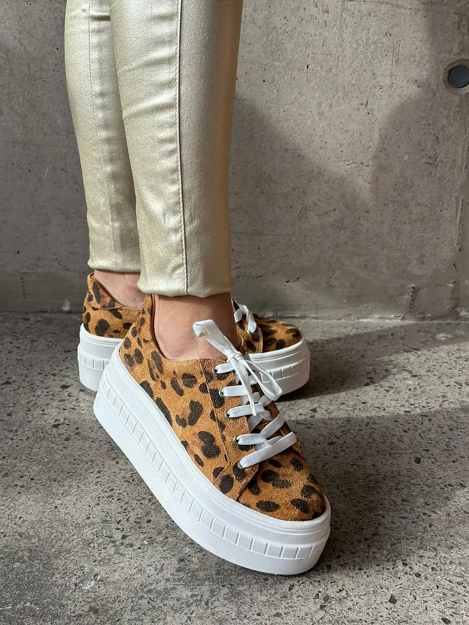 Miami animal print 4