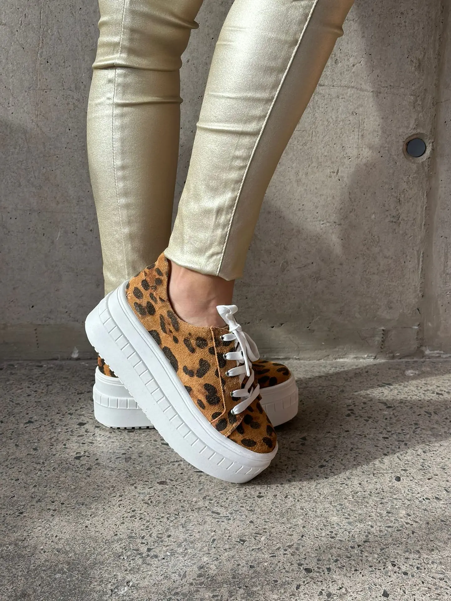 Miami animal print 5