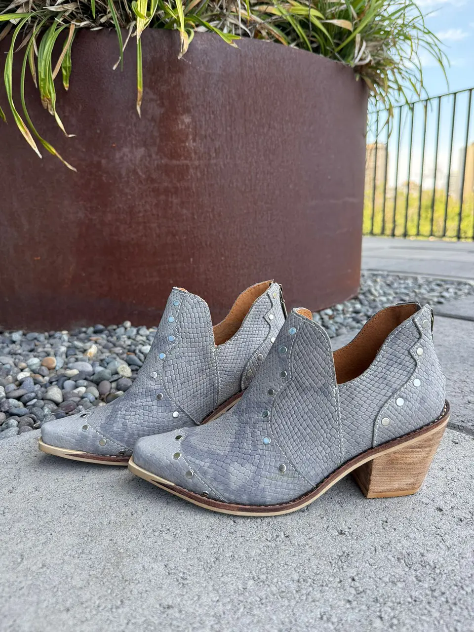 Meliza  Rapsodia gris 4