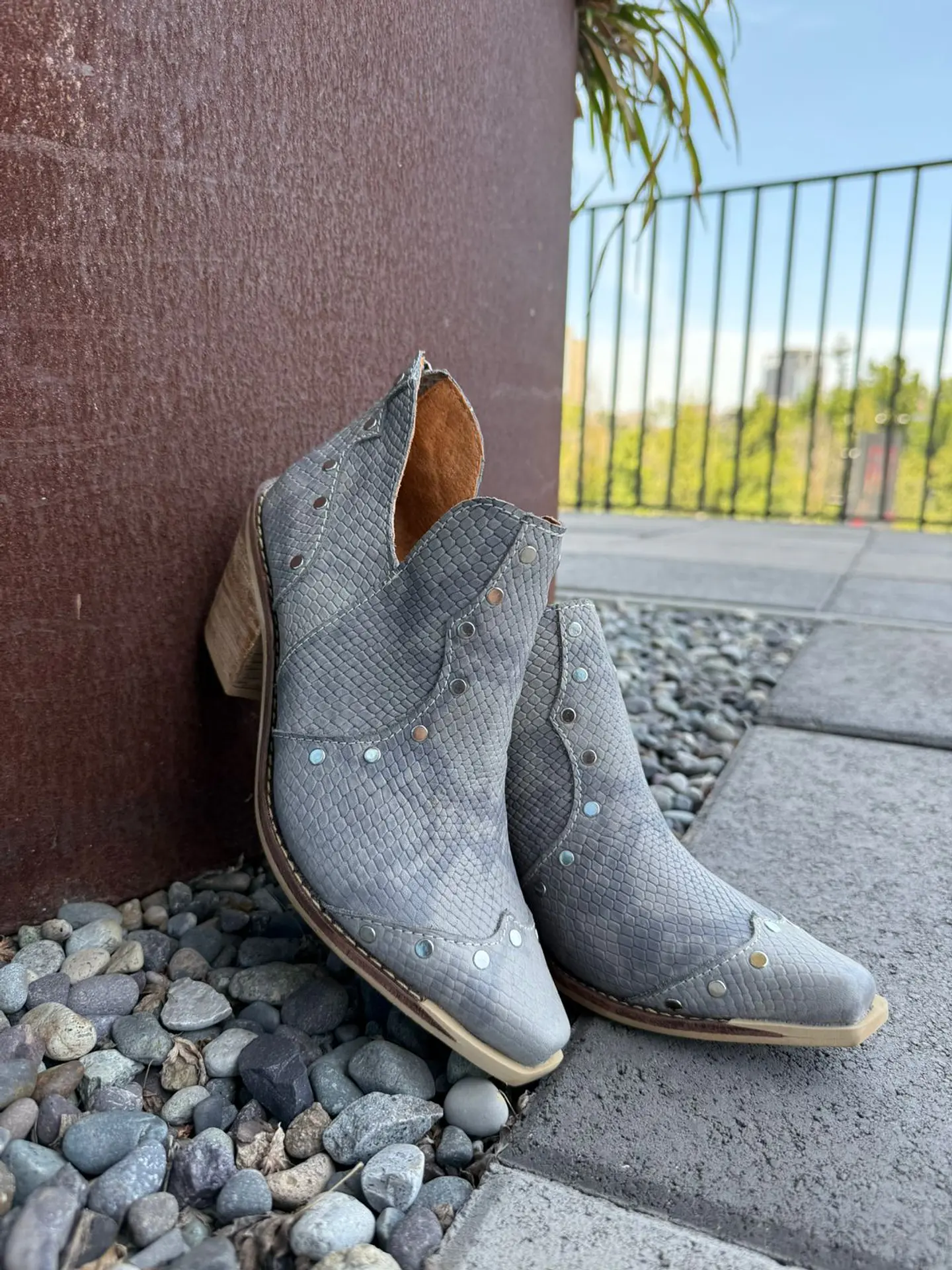 Meliza  Rapsodia gris 5